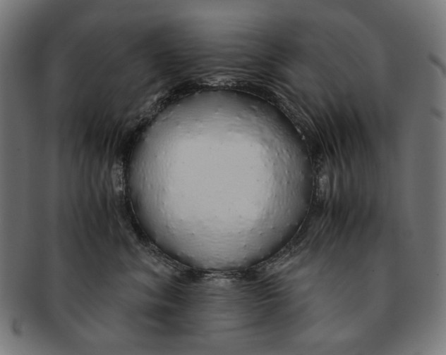 X0000091180620200709060955