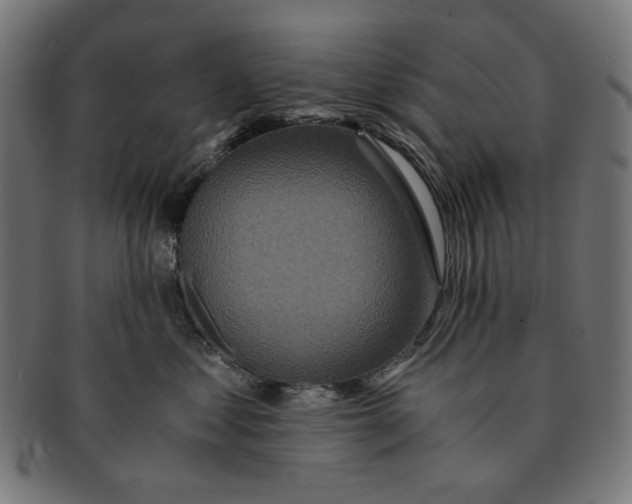 X0000091180621200709060955