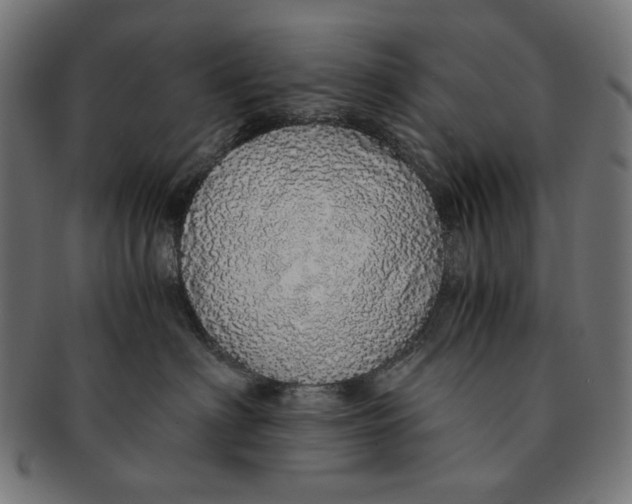 X0000091180622200709060955