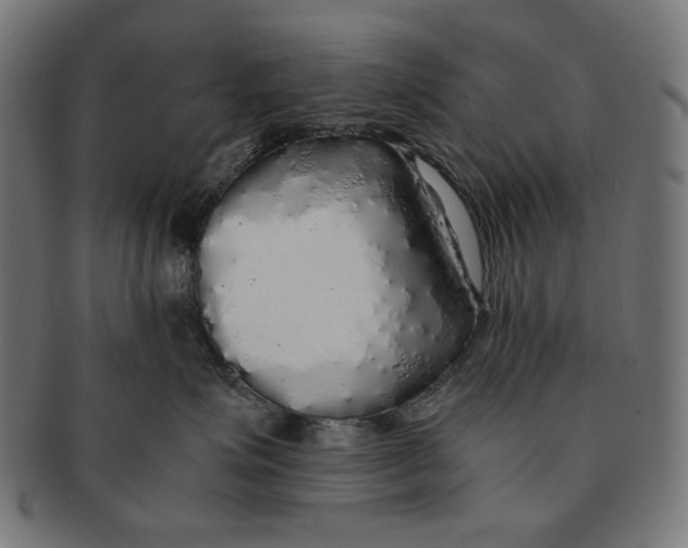 X0000091180623200709060955
