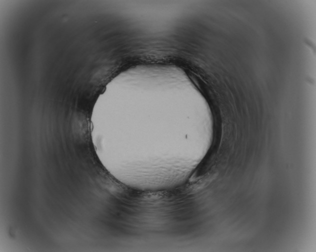 X0000091180624200709060955