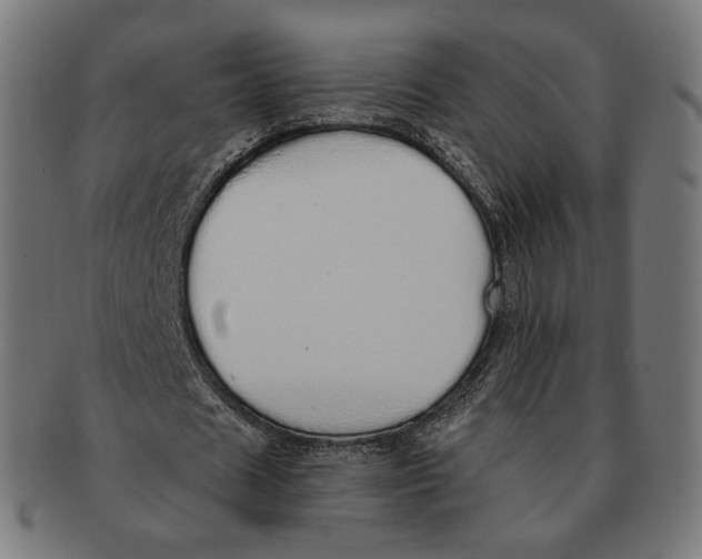 X0000091180625200709060955