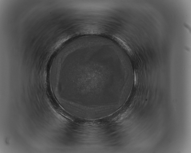 X0000091180627200709060955