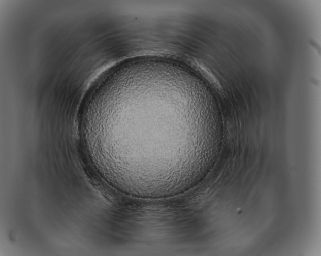 X0000091180628200709060955