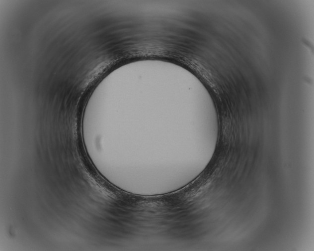 X0000091180629200709060955