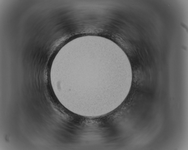 X0000091180632200709060955