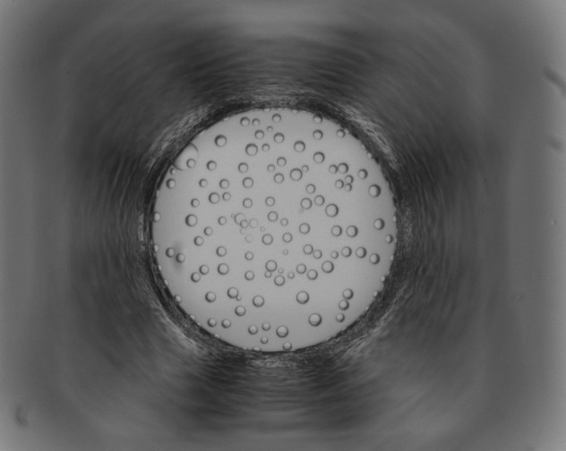 X0000091180633200709060955