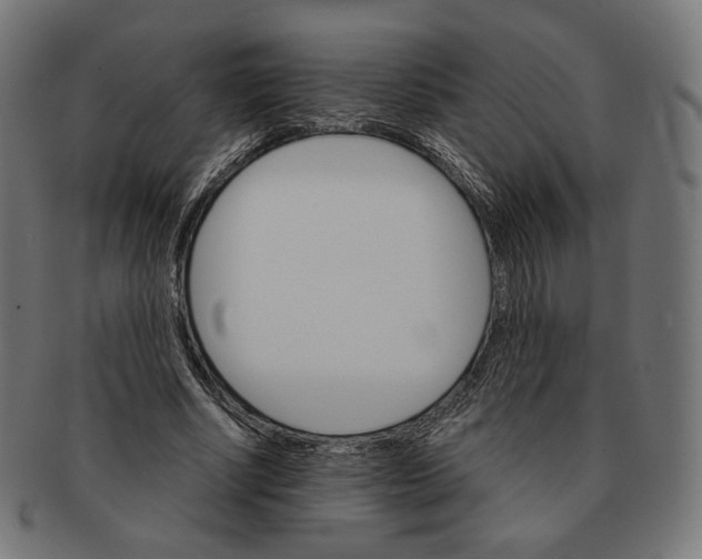 X0000091180634200709060955