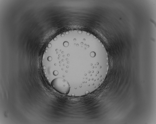 X0000091180635200709060955