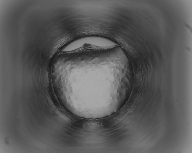 X0000091180638200709060955