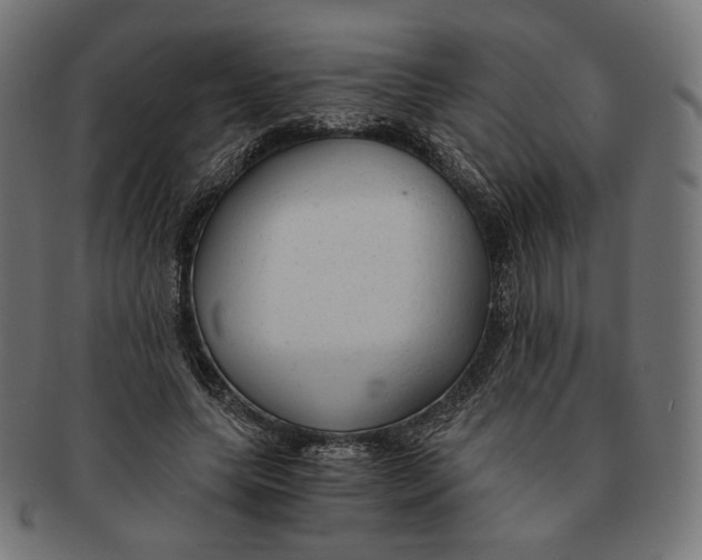 X0000091180639200709060955