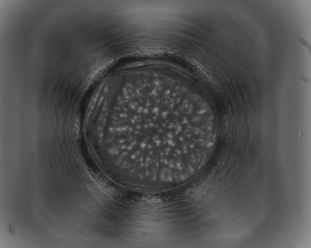 X0000091180640200709060955