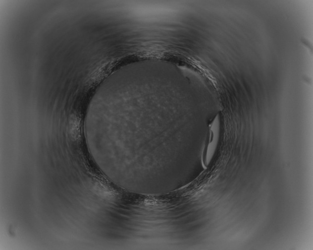 X0000091180641200709060955