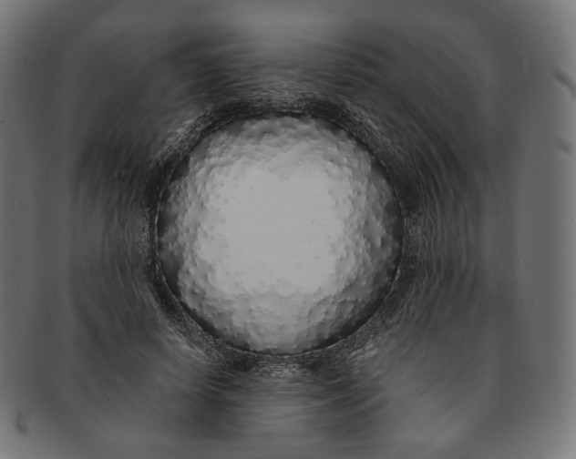 X0000091180642200709060955