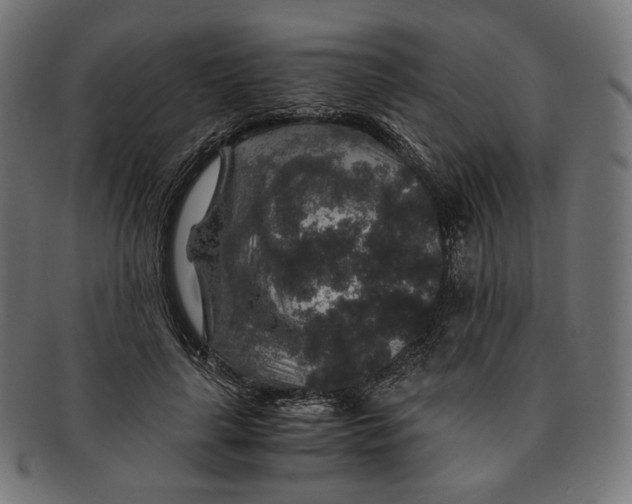X0000091180643200709060955