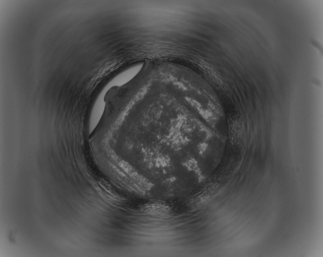 X0000091180644200709060955