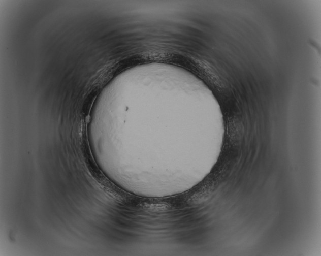 X0000091180645200709060955