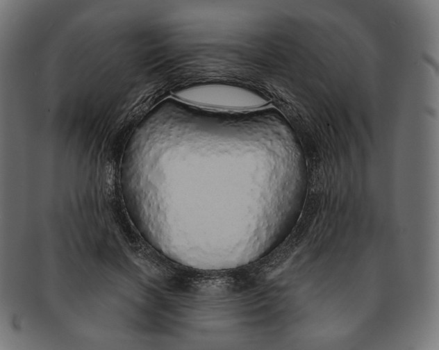 X0000091180646200709060955
