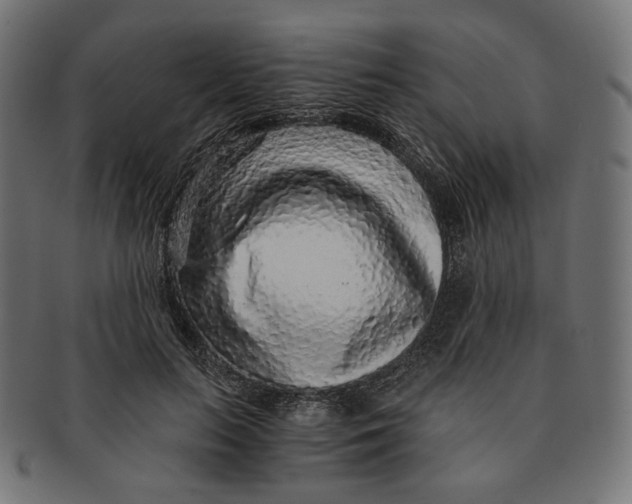 X0000091180647200709060955