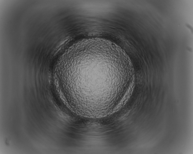 X0000091180648200709060955