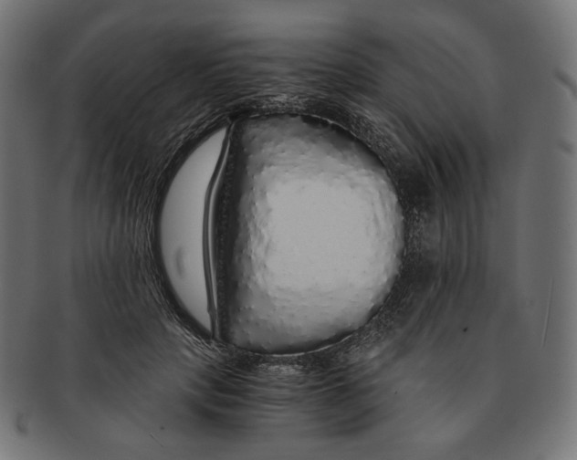 X0000091180649200709060955