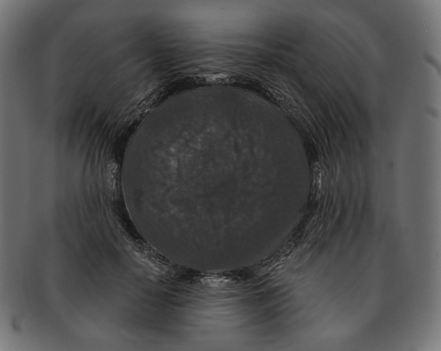 X0000091180650200709060955