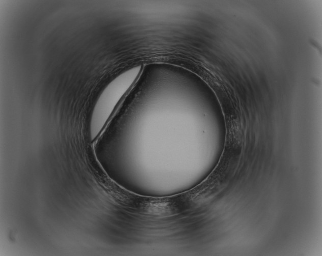 X0000091180651200709060955