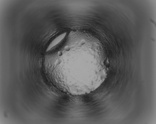 X0000091180652200709060955