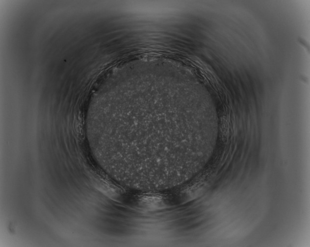X0000091180653200709060955