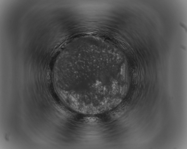 X0000091180654200709060955