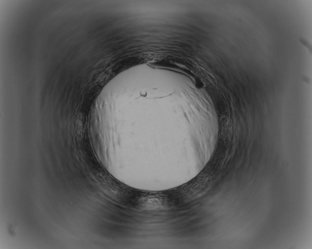 X0000091180655200709060955