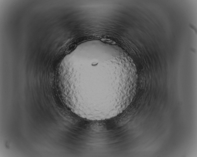 X0000091180656200709060955