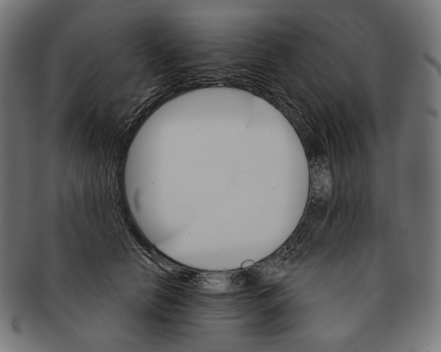 X0000091180658200709060955