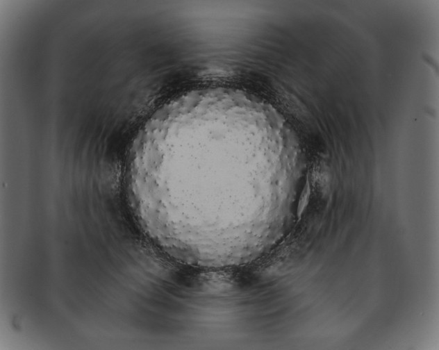 X0000091180660200709060955