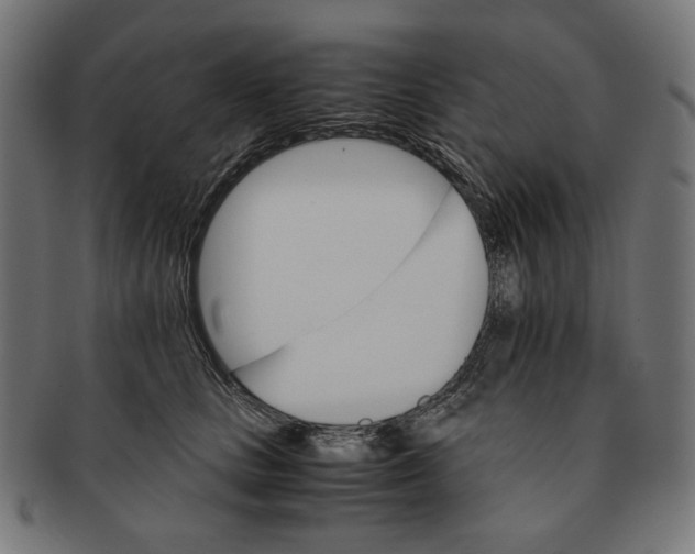 X0000091180661200709060955