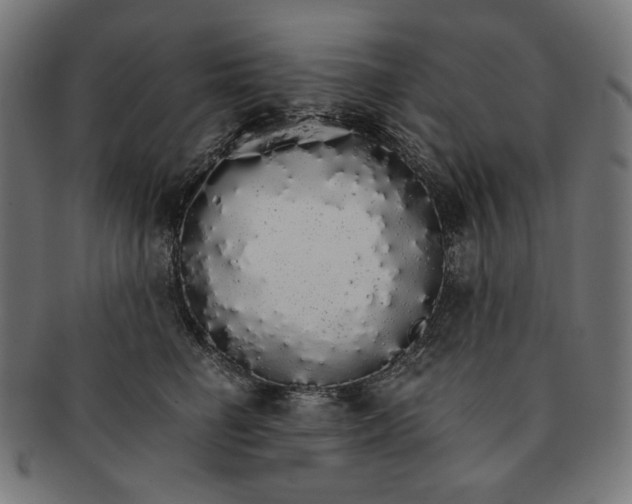 X0000091180662200709060955