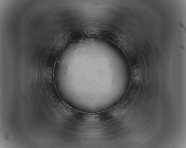 X0000091180664200709060955