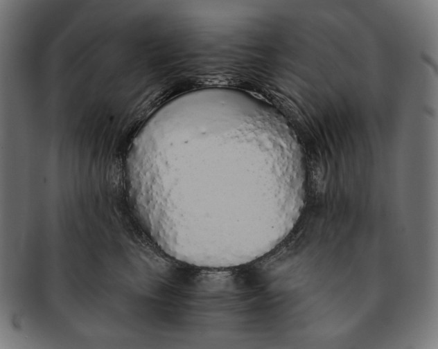 X0000091180665200709060955