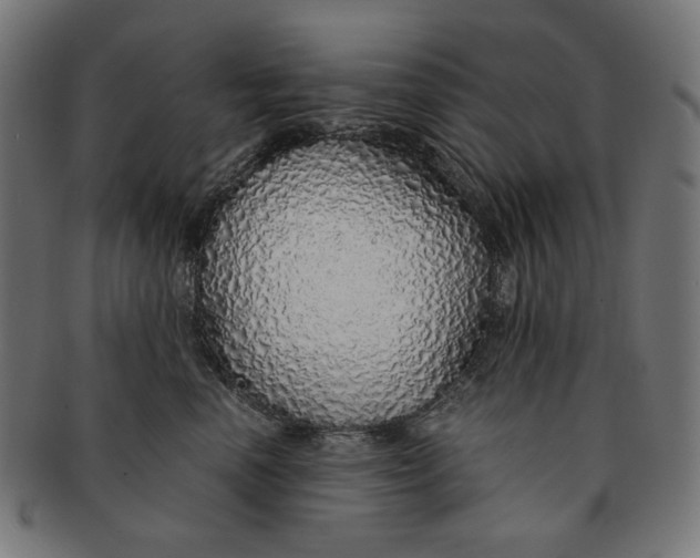 X0000091180666200709060955