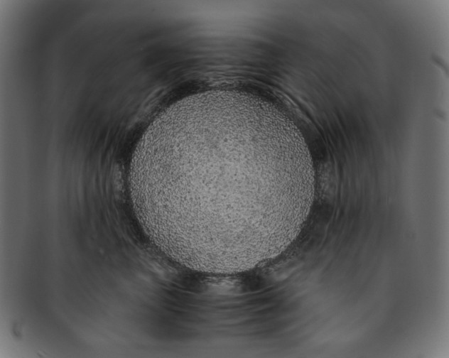 X0000091180667200709060955