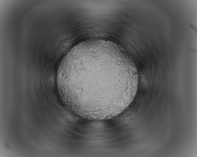 X0000091180668200709060955