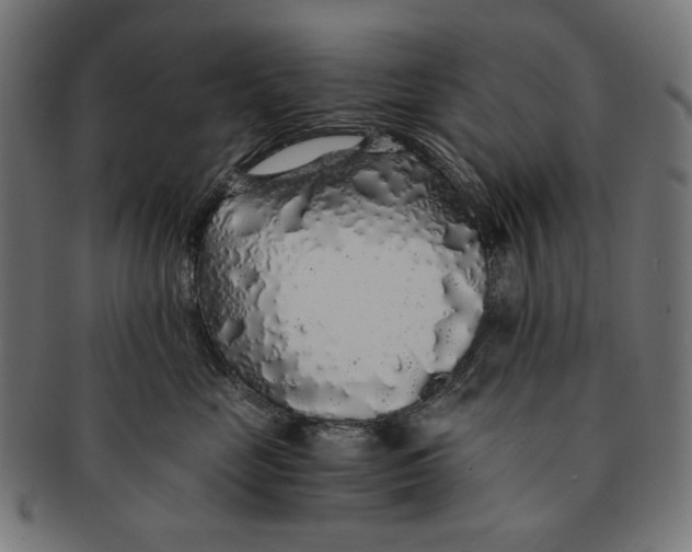 X0000091180669200709060955