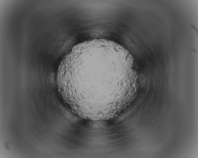 X0000091180670200709060955