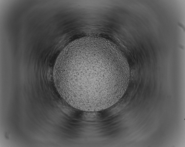 X0000091180671200709060955