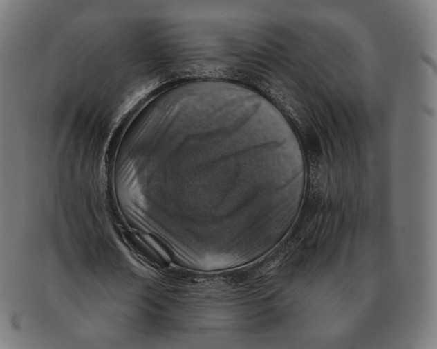 X0000091180674200709060955