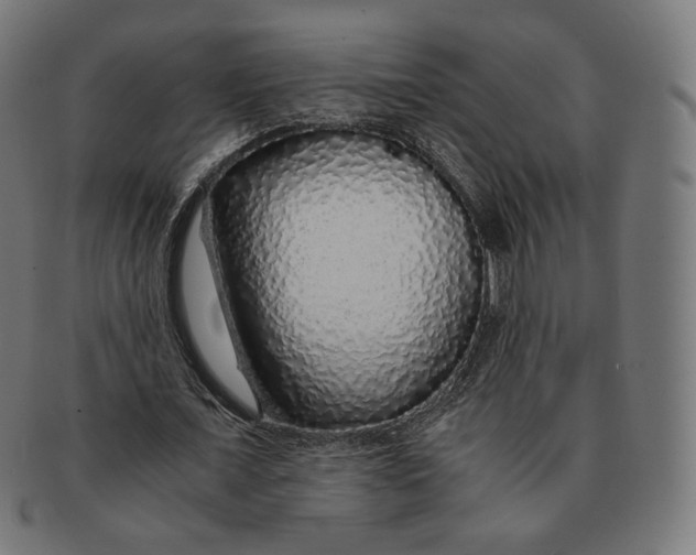 X0000091180675200709060955