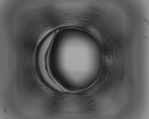 X0000091180676200709060955