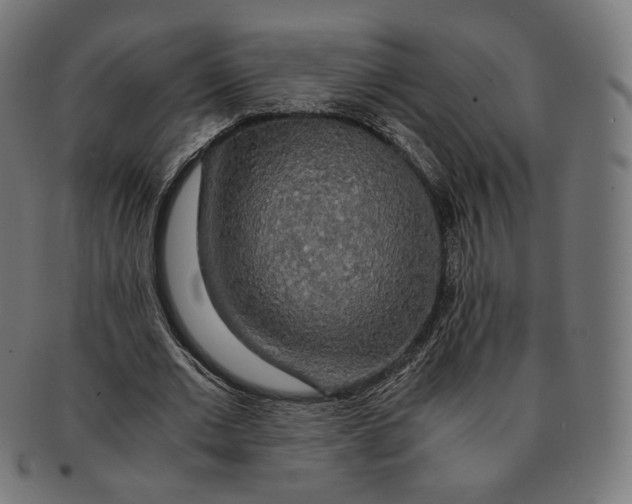 X0000091180677200709060954