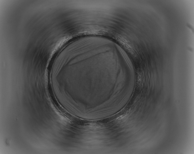 X0000091180678200709060954