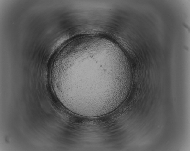 X0000091180679200709060954